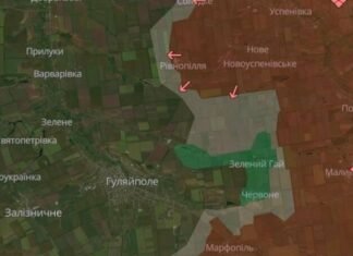 В Запорожской области враг продвинулся около двух сел на Гуляйпольщине, – DeepState