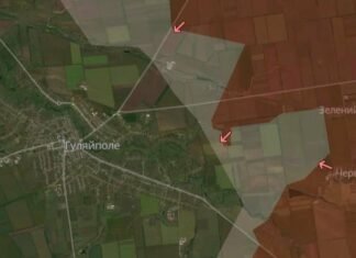 Враг оккупировал Зеленый Гай в Запорожской области: что происходит возле Гуляйполя – анализ DeepState