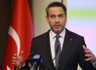 Турецкий министр: Зеленский обсуждал с Эрдоганом помощь Турции в поставках газа