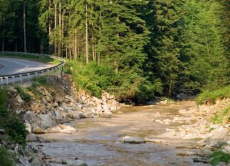 «В связи с отсутствием необходимости». Тендер на проектирование дороги в Буковель отменили