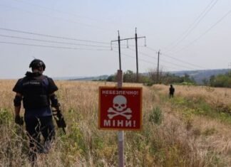 Возле Изюма разминируют рекордные 8000 га: Подходим к территориям, где шли серьезные бои