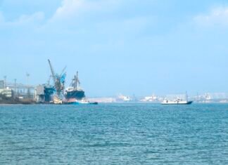 Акваторию крупнейшего порта Украины залило растительным маслом после российских обстрелов