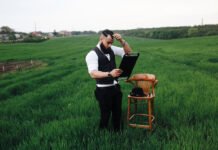 Офисный пузырь. Почему агрохолдинги проигрывают фермерам в производительности