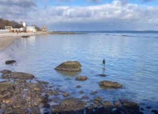 В Одессе уменьшилось загрязнение побережья маслом, возникшее после атаки РФ – горсовет