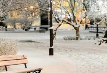 В Запорожье ожидаются умеренные осадки в виде снега и гололедица на дорогах