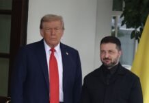 Трамп встретится с Зеленским в воскресенье: СМИ назвали место