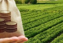 Запорожская ОВА предлагает освободить бизнес от налогов на землю и недвижимость: сколько средств потеряют бюджеты громад