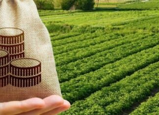 Запорожская ОВА предлагает освободить бизнес от налогов на землю и недвижимость: сколько средств потеряют бюджеты громад