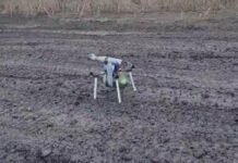 На Гуляйпольщине в результате вражеской атаки получил ранение полицейский