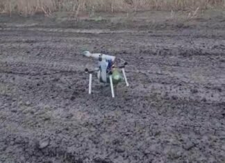 На Гуляйпольщине в результате вражеской атаки получил ранение полицейский