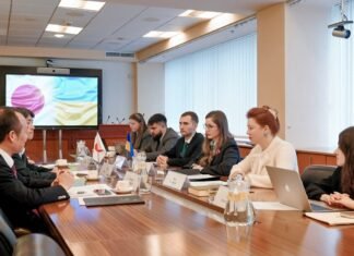 Поддержка энергетики и разминирование. Япония выделила Украине почти 48 млн евро