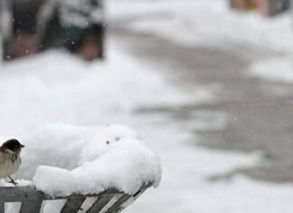 Синоптики предупреждают об ухудшении погоды в Запорожье: ожидается сильный снег и гололедица