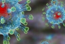 В Запорожской области зарегистрировали смерть от коронавируса