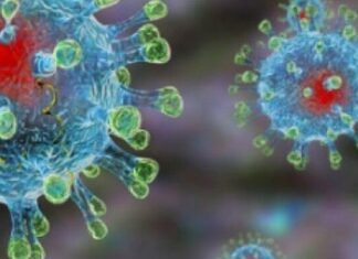 В Запорожской области зарегистрировали смерть от коронавируса