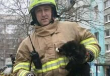 В Запорожье спасатели сняли с дерева кота, застрявшего на высоте пятого этажа