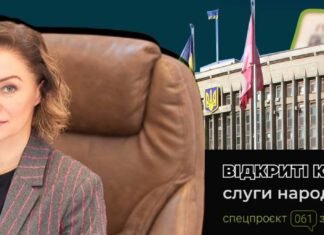 Квартира, автомобиль матери и долларовая заначка: что известно о состоянии замглавы ОВА Оксаны Матвиишиной