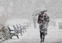 В Запорожской области ожидается ненастье: сильный ветер, метель и гололедица