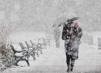 В Запорожской области ожидается ненастье: сильный ветер, метель и гололедица