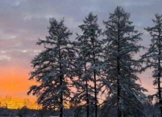 В Запорожье ожидаются колебания температуры, гололедица и снег