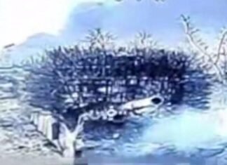 В Запорожской области Силы обороны отразили вражеский штурм на бронетехнике, – ВИДЕО