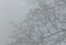 Жителей Запорожья предупреждают о метеоусловиях высокого загрязнения воздуха