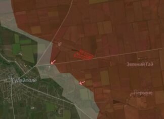 В Запорожской области захватчикам удалось оккупировать два села, – DeepState