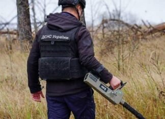 В Запорожской области спасатели обезвредили мину и самодельное взрывное устройство