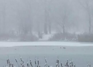 В Запорожье объявили штормовое предупреждение из-за тумана