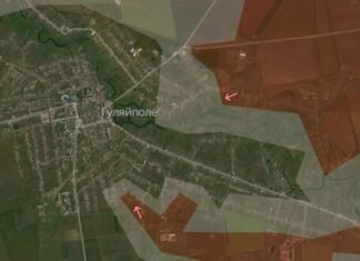 В Запорожской области врагу удалось продвинуться в Гуляйполе и Степногорске, – DeepState