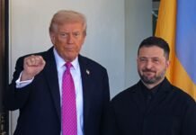 Зеленский анонсировал встречу с Трампом: многое может решиться до Нового года