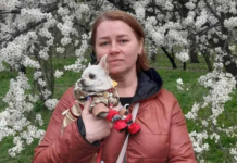 «Дело, которое помогло мне прийти в себя»: история портнихи из Энергодара, которая основала бренд одежды для животных