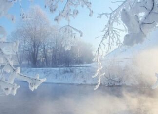 Синоптики предупреждают о тумане и существенном похолодании в Запорожской области