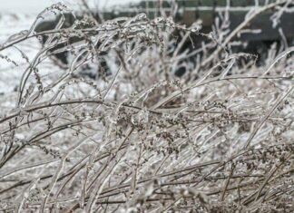 На Гуляйпольском направлении украинские защитники отбили 24 атаки врага