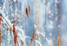 В Запорожье прогнозируют потепление, дожди и сильный ветер