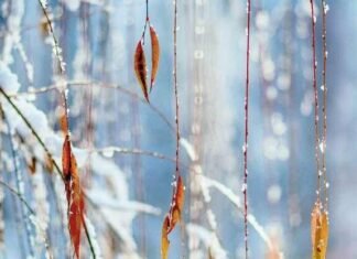 В Запорожье прогнозируют потепление, дожди и сильный ветер