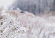 Синоптики предупреждают о тумане в Запорожье