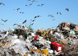 Новые правила для мусора: Кабмин обновил механизмы управления отходами