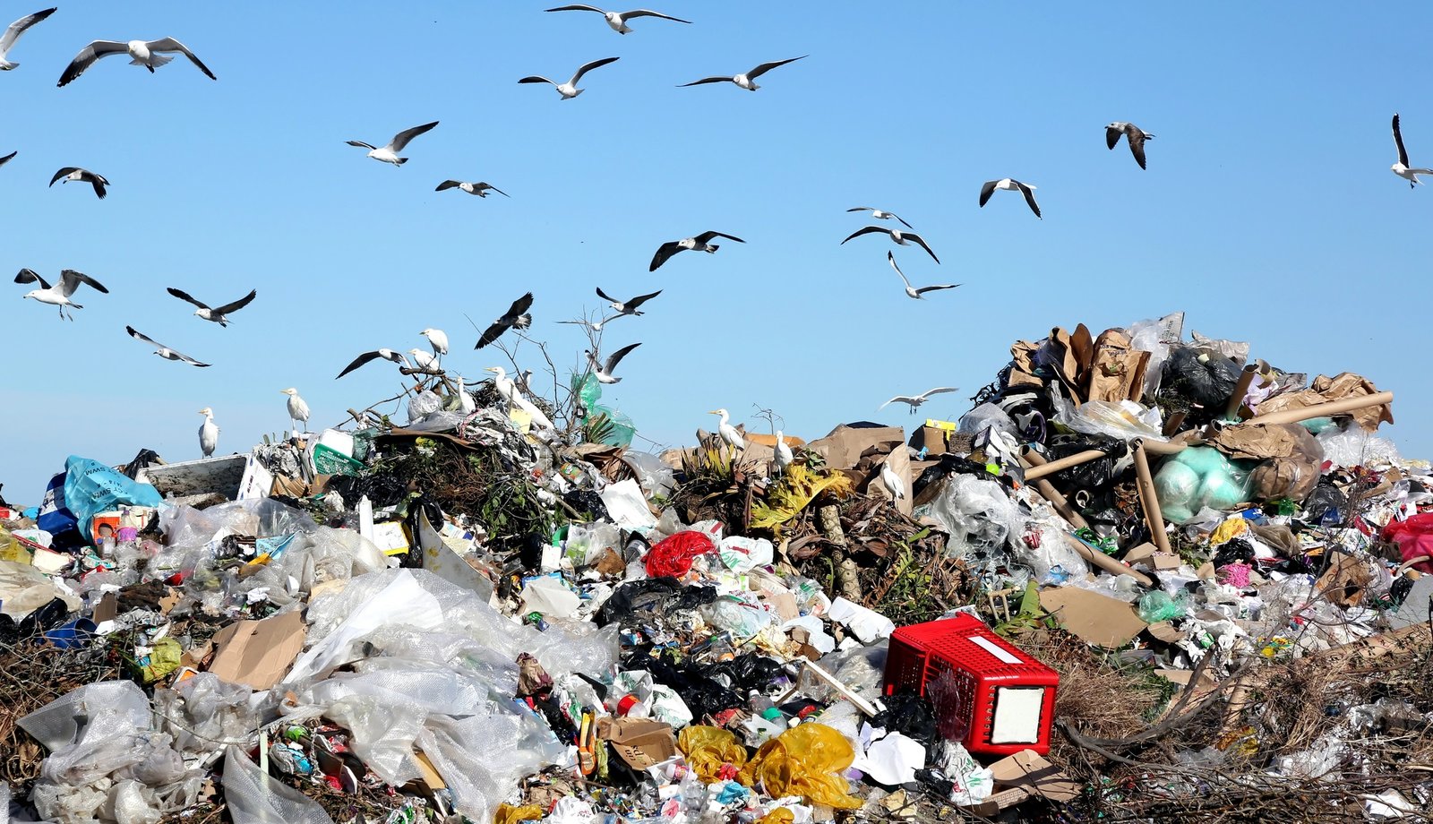 Новые правила для мусора: Кабмин обновил механизмы управления отходами