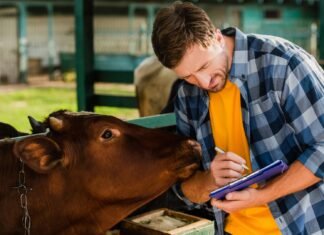 Канада инвестирует 20 миллионов канадских долларов в развитие украинских фермеров