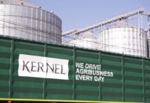 Бывший PR-директор Нової пошти перешла в Kernel