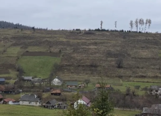 АРМА продало 460 га в Карпатах, на которых Каськив и Левочкин хотят строить курорт