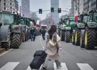 Страны ЕС одобрили торговое соглашение с Меркосур, несмотря на протесты фермеров