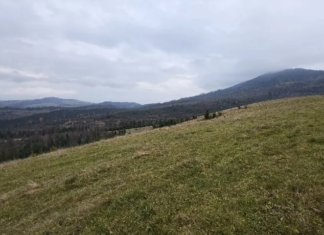 Продажа земли на полонине Боржава. АРМА проверит победителей аукционов