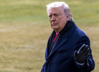 Трамп купил облигации Netflix и Warner Bros. через несколько недель после их заявления о слиянии