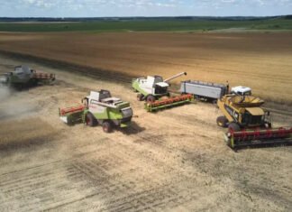 Агрохолдинг Тигипко покупает элеватор у Kernel