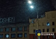 В Киеве российский «шахед» попал в фабрику Roshen: погибла женщина – фото, видео