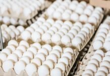 Украина экспортировала 2 млрд яиц в 2025 году: какие страны покупали больше всего