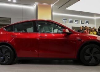 Продажи электрокаров в ЕС в декабре впервые превысили продажи бензиновых авто