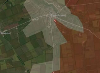 Враг имеет новые продвижения в Запорожской области, – DeepState