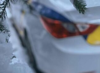 Патрульные обработали 161 вызов в новогоднюю ночь в Запорожье